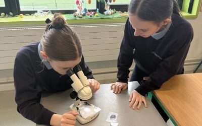 Microscopes! 🔬