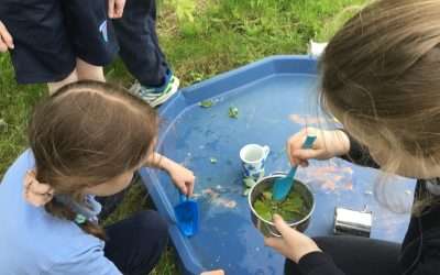 Forest schools fun and experimenting in nature/using plasticine