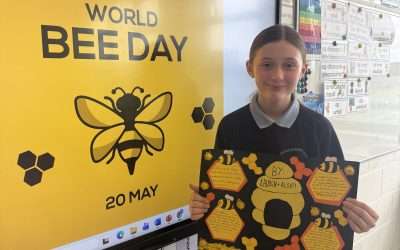 World Bee Day! 🐝
