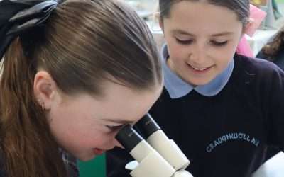 Microscopes