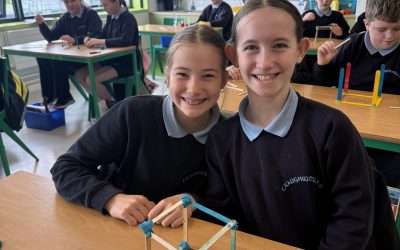 3D shape exploration!